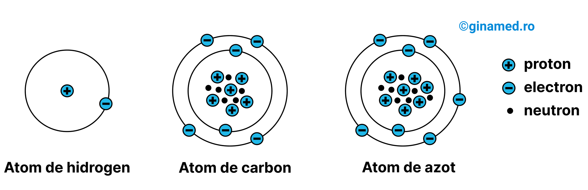 Structura atomilor de hidrogen, carbon și azot. Particulele esențiale din alcătuirea atomului.