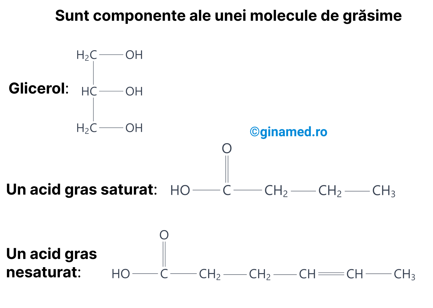 Componentele unei molecule de grăsime.
