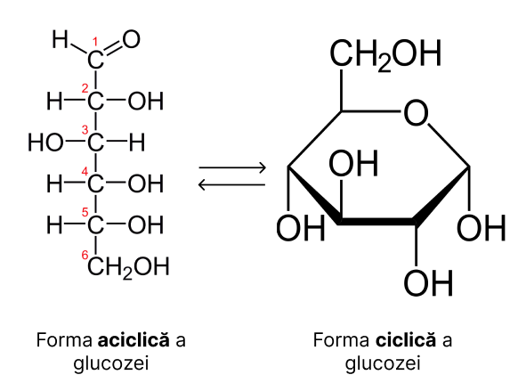 Bazele Chimice Ale Anatomiei i Fiziologiei Biologie Barron s GinaMed Bazele Chimice Ale Anatomiei i Fiziologiei Biologie Barron s GinaMed