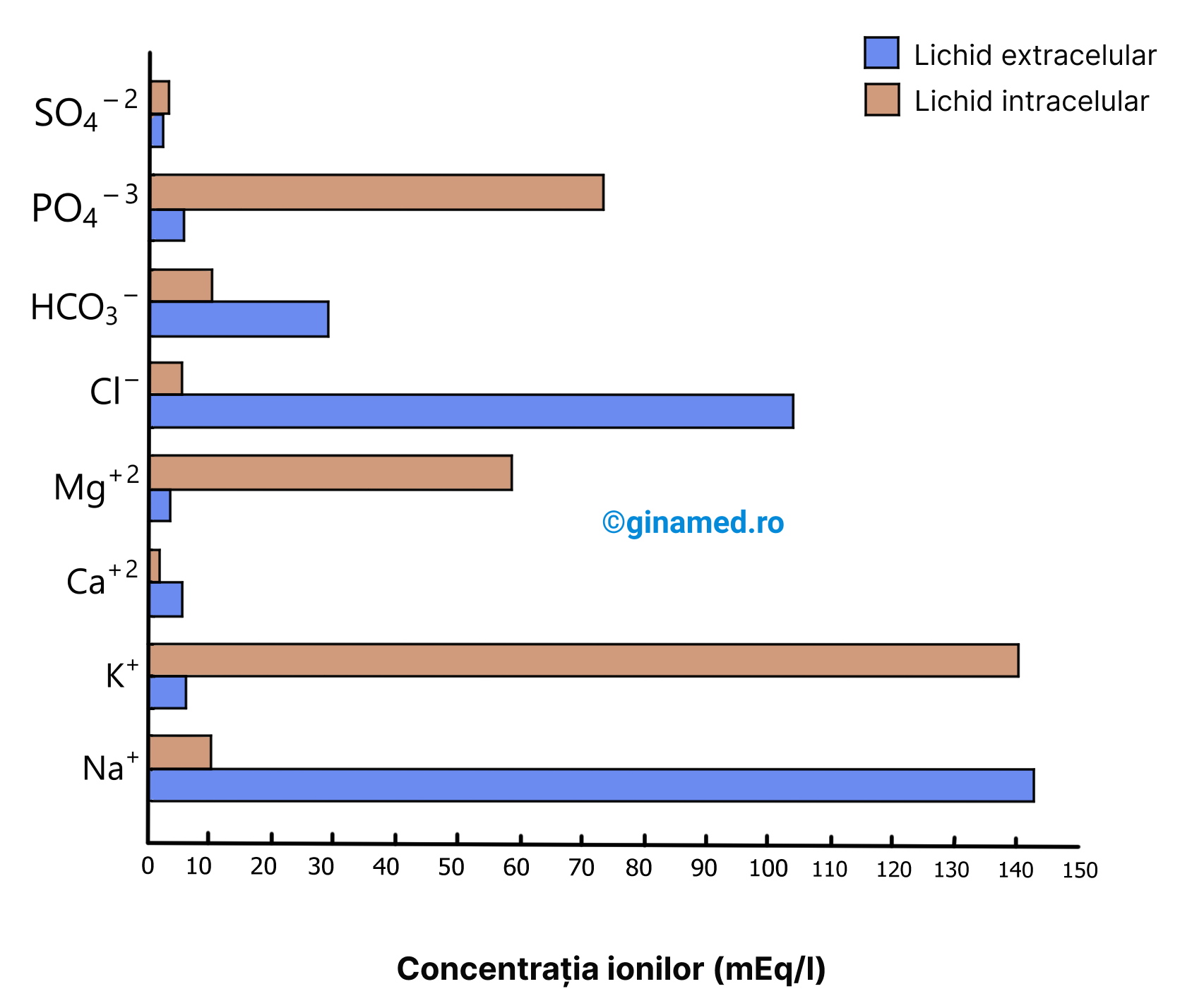 Concentrații relative corespunzătoare unor ioni în lichidele intra- și extracelulare ale organismului.