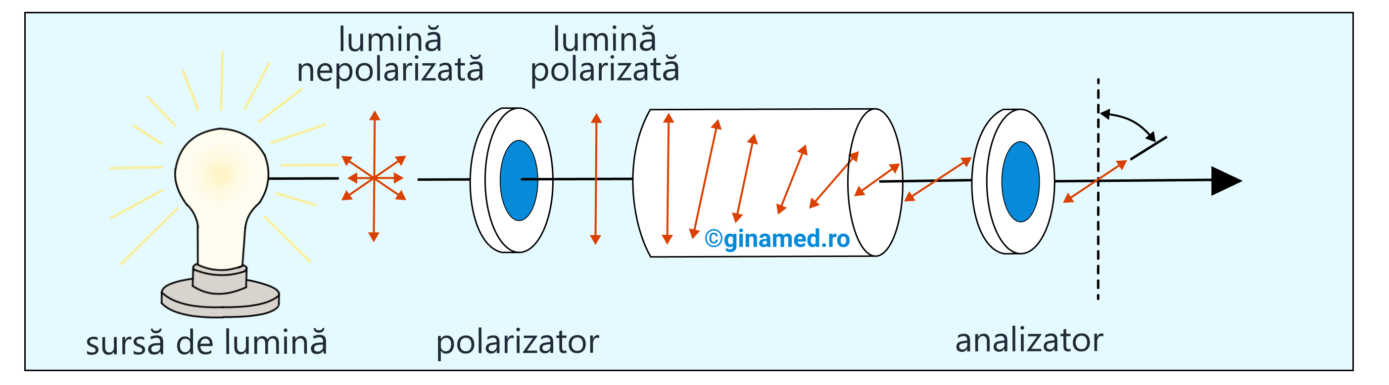 &nbsp; Pentru a pune în evidență experimental activitatea optică, se recurge la un instrument –&nbsp;<b>polarimetru</b>. Acesta are rolul de a măsura unghiul de rotație care apare atunci când lumina polarizată traversează substanțe optic active. Astfel, lumina nepolarizată ce provine de la o sursă de lumină traversează polarimetrul. În interiorul acestuia se află un polarizor care polarizează liniar razele de lumină. Aceste raze vor traversa substanța de analizat optic activă. Cu ajutorul analizorului se poate stabili unghiul de rotație al planului luminii polarizate.&nbsp;&nbsp;