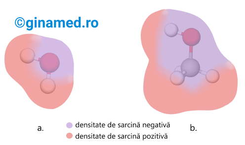 Zone cu densitate de sarcină negativă și pozitivă pentru modelele spațiale ale moleculei de apă (a) și metanol (alcool) (b).