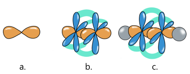 a. Geometria orbitalilor sp; b. Formarea legăturii&nbsp;σ și a celor două legături&nbsp;π&nbsp;între 2 atomi de carbon; c. Legăturile chimice în molecula&nbsp;[HTML]C&lt;sub&gt;2&lt;/sub&gt;H&lt;sub&gt;2&lt;/sub&gt;[/HTML] (acetilenă).