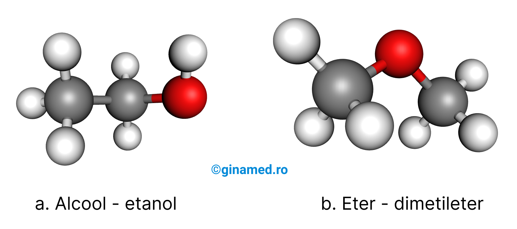 Izomerii de funcțiune ai compusului cu formula moleculară&nbsp;[HTML]C&lt;sub&gt;2&lt;/sub&gt;H&lt;sub&gt;6&lt;/sub&gt;O[/HTML] (bila roșie reprezintă atomul de oxigen, bila albă atomul de hidrogen și bila gri atomul de carbon).
