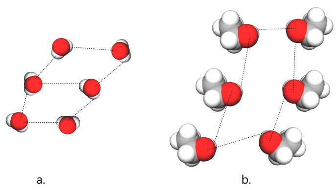 Legături de hidrogen stabilite între moleculele de apă (a) și între moleculele de etanol (b).