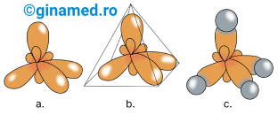 a. Geometria atomului de carbon în starea de valență; b. Geometria tetraedrică a atomului de carbon în stare de valență; c. Geometria metanului (bilele de culoare gri reprezintă atomii de hidrogen).