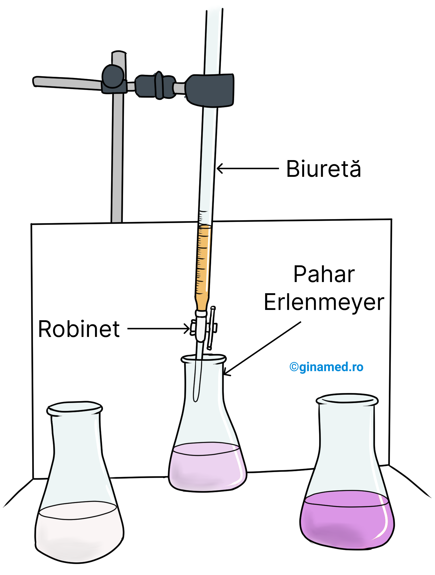 În imaginea de mai sus se remarcă o biuretă prevăzută cu un robinet. Aceasta conține NaOH sau KOH. Paharele Erlenmeyer conțin acid acetic și fenolftaleină (incolor). Din biuretă se aduce soluția bazică în picături peste conținutul din pahatul Erlenmeyer până când culoarea acestuia persistă în ușor roz. (Completare: fenolftaleina este un indicator acido-bazic care în mediu acid este incoloră, iar în mediu bazic este colorată în roșu-carmin).